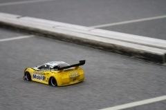 thumbs_IMG_6591