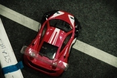 thumbs_IMG_6767